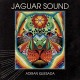 ADRIAN QUESADA-JAGUAR SOUND -COLOURED- (LP)