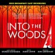 V/A-INTO THE WOODS (CD)