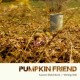 PUMPKIN FRIEND-AUTUMN SKETCHBOOK/WISHING WELL (CD)