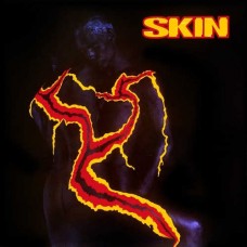 SKIN-COLLECTOR -DIGI- (3CD)