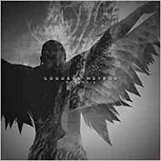 GOODBYE METEOR-METANOIA (CD)