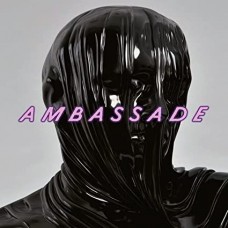 DE AMBASSADE-YOUNG BIRDS (12")