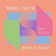 REBEL YOUTH-WHAT IS SOUL? -ANNIV- (12")