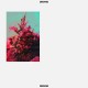 DIENNE-ADDIO (LP)