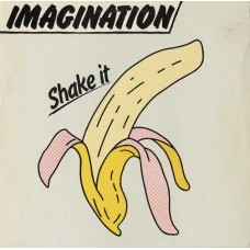 IMAGINATION-SHAKE IT (2LP)