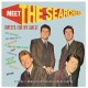 SEARCHERS-MEET THE SEARCHERS (LP)