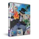 ANIMAÇÃO-ONE PIECE: COLLECTION 28 (4DVD)