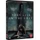 FILME-THEY LIVE IN THE GREY (DVD)