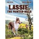 FILME-LASSIE: IN THE PAINTED HILLS (DVD)
