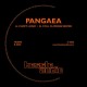PANGAEA-FUZZY LOGIC / STILL FLOWING WATER (12")