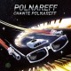 MICHEL POLNAREFF-POLNAREFF CHANTE POLNAREFF -COLOURED- (LP)
