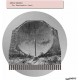 CONFLUX COLDWELL-PHANTOMATIC COAST -COLOURED- (LP)