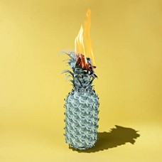 HAPPY FITS-UNDER THE SHADE OF GREEN (LP)