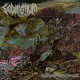 SEDIMENTUM-SUPPURATION MORPHOGENEEIAQUE (LP)