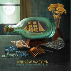 ANDREW WASYLYK-HEARING THE WATER BEFORE SEEING THE FALLS -COLOURED- (LP)