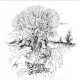 TWILIGHT SEQUENCE-TREES IN GENERAL: AND THE LARCH (12")