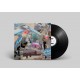 LANDER & ADRIAAN-LANDER & ADRIAAN (LP)