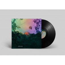 KOSMO SOUND-FRUIT OF THE VOID (LP)