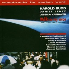 HAROLD BUDD-WALK INTO MY VOICE (CD)