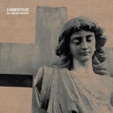 KILL SHELTER & ANTIPOLE-A HAUNTED PLACE (CD)