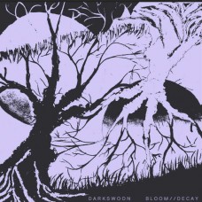 DARKSWOON-BLOOM DECAY (LP)