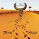 STEEL BONES-FIRST STEP (CD)