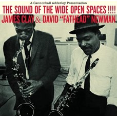 JAMES CLAY & DAVID "FATHEAD" NEWMAN-SOUND OF THE WIDE OPEN SPACES (LP)