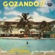 AL VALDEZ Y SU CONJUNTO-GOZANDO!! (LP)