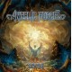 ANGELIC FORCES-ARISE (LP)