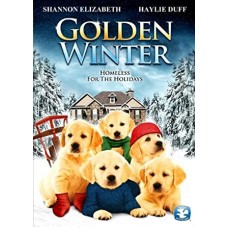 FILME-GOLDEN WINTER (DVD)