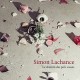 SIMON LACHANCE-LE CHEMIN DES POTS CASSES (CD)