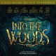 V/A-INTO THE WOODS (2CD)