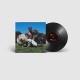 IDK-IS HE REAL? (LP)