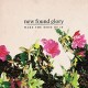 NEW FOUND GLORY-MAKE THE MOST OF IT (LP)