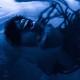 REXX LIFE RAJ-BLUE HOUR (LP)