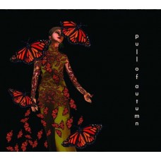 PULL OF AUTUMN-BEAUTIFUL BROKEN WORLD (CD)