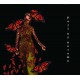 PULL OF AUTUMN-BEAUTIFUL BROKEN WORLD (CD)