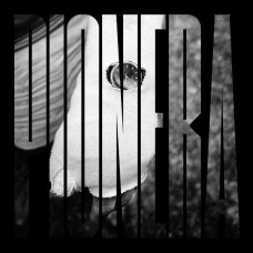 PIONERA-BOLSA DE PIEDRAS (LP)