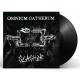OMNIUM GATHERUM-SLASHER - EP (LP)