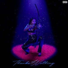 TINK-THANKS 4 NOTHING (CD)