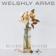 WELSHLY ARMS-WASTED WORDS & BAD DECISIONS (LP)