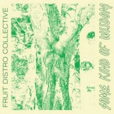 FRUIT DISTRO COLLECTIVE-SOME KIND OF WISDOM (LP)