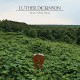 LUTHER DICKINSON-ROCK 'N ROLL BLUES -COLOURED- (LP)