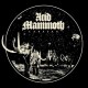 ACID MAMMOTH-CARAVAN -COLOURED- (LP)