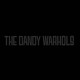 DANDY WARHOLS-BLACK ALBUM (LP)