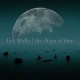 ERIK WOLLO-SHAPE OF TIME (CD)