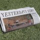 ROBERT ELLIS-YESTERDAY'S NEWS (CD)