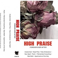 HIGH PRAISE-FOREVER AFTER AFTER (CD)