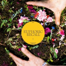 BRAIDS-EUPHORIC RECALL (CD)