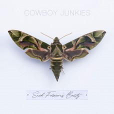 COWBOY JUNKIES-SUCH FEROCIOUS BEAUTY (CD)